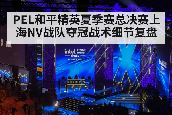 PEL和平精英夏季赛总决赛上海NV战队夺冠战术细节复盘（huobo sports）